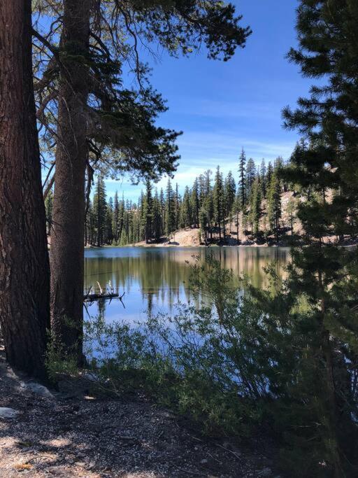 Mammoth Awesome Location-1 Min To Shuttles & Food! Toml-Cpan-11402 Lejlighed Mammoth Lakes Eksteriør billede